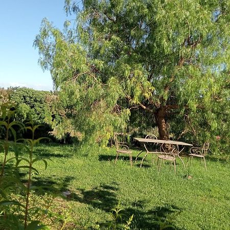 Agriturismo Podere Gianmaria カスティリョンチェッロ エクステリア 写真