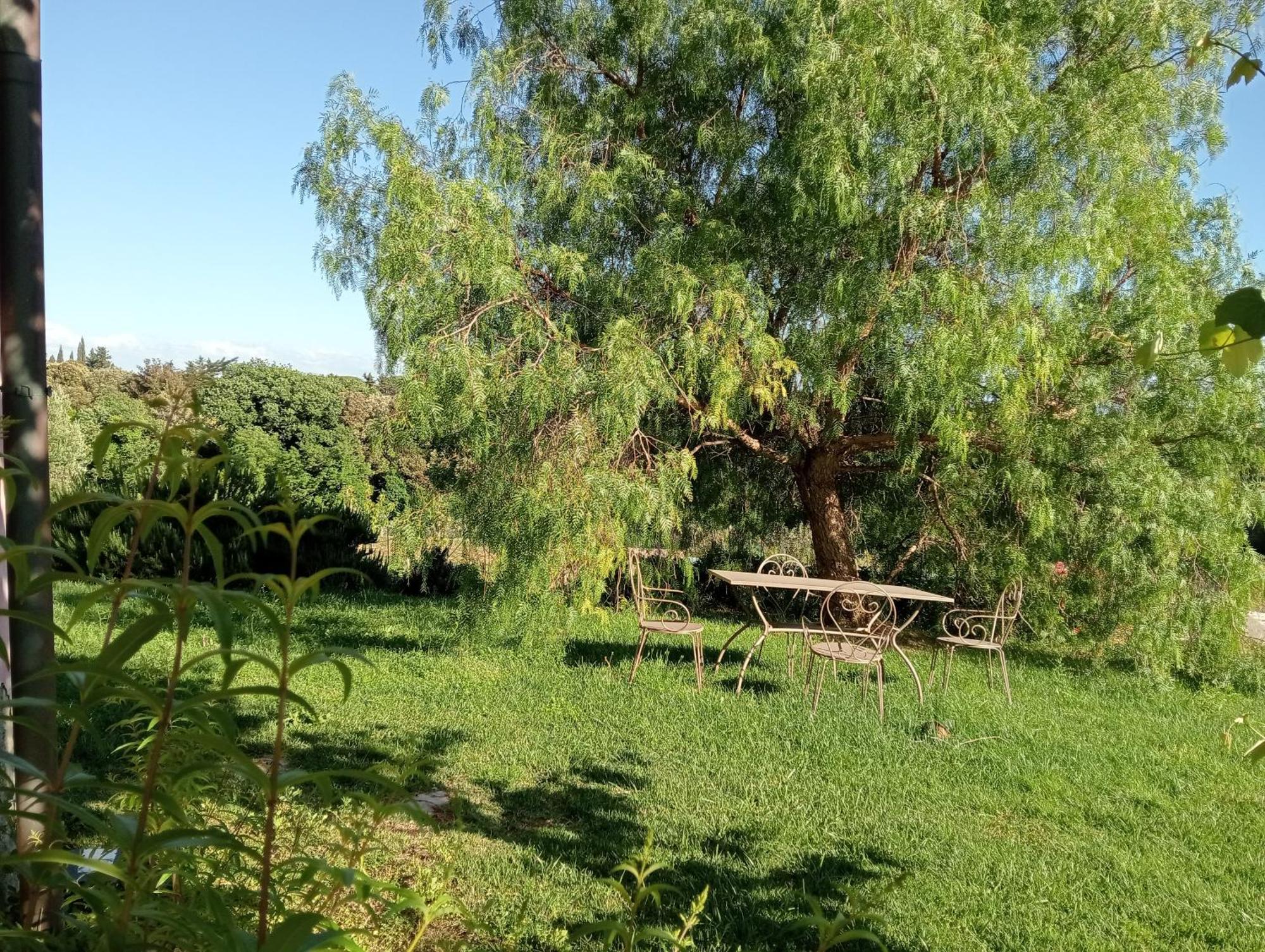 Agriturismo Podere Gianmaria カスティリョンチェッロ エクステリア 写真